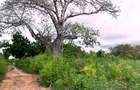 4,026 m² Land at Vipingo Kuruwitu - 12