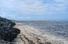 2 ac Land in Watamu - 6