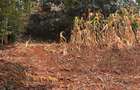 0.25 ac Land in Nyeri - 1