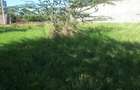 0.25 ac Residential Land in Ongata Rongai - 9