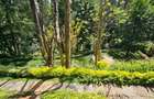 5 Bed Townhouse with En Suite in Kitisuru - 3
