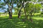 20 ac Land at Mtwapa - 8