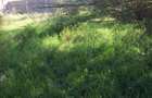 0.25 ac Residential Land in Ongata Rongai - 13