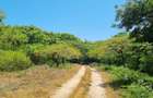 73.6 ac Land at Vipingo Kuruwitu Beach - 10