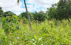 Land at Mtwapa - 11