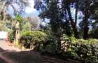 Furnished 2 Bed Apartment with Backup Generator in Kitisuru - 5