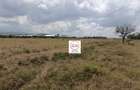 3 ac Land at Mirera - 8