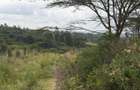 0.0113 ac Land in Ngong - 6