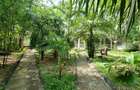 Furnished 3 ac Commercial Property with Service Charge Included at Kanamai - 7