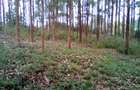 Land at Upper Matasia - 8