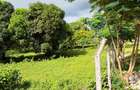 Land at Mtwapa - 8