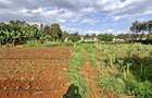 0.2 ha Residential Land at Three Dee Lane - 4