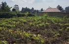Land at Limuru Road - 12