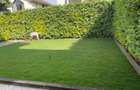 3 Bed House with En Suite in Kiambu Road - 2