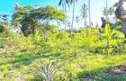 Land at Kwale - 10