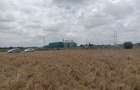 Land at Kisaju - 8