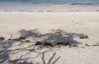 Land at Diani - 4