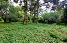 Residential Land at Lower Kabete Rd - 4