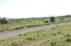 Land in Naivasha - 1