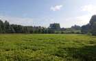 1 ac Land in Tigoni - 15