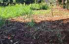 Residential Land at Thome. - 6