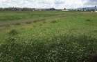 0.1 ha Residential Land in Ongata Rongai - 9