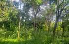 0.5 ac Land in Karen - 5