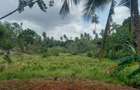 6 ac Land at Msambweni - 5