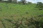 4 ac Residential Land in Kiserian - 9