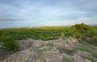 0.045 ha Land at Ukunda - 6