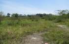 Land at Nyasa Rd - 7