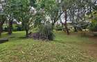 1.43 ac Land in Lavington - 4