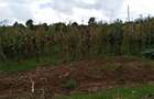 0.5 ac Land in Tigoni - 4