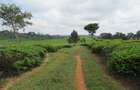 Land in Kiambu Town - 1