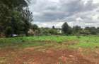 Land in Runda - 7