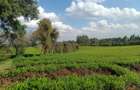 1,550 ac Land at Limuru - 1