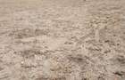 4 ac Residential Land at Acacia - 6