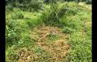 Residential Land in Vipingo - 10