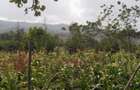 0.13 ac Residential Land in Ngong - 6