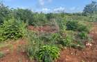 6 ac Land in Kilifi - 5