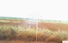 10 ac Land at Oloitokitok - 4