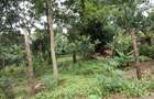 0.5 ac Land at Nandi Road - 7