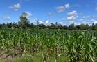 464 m² Land at Mavueni - 8