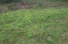 0.113 ac Land in Ngong - 5