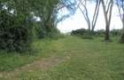 25 ac Land at Moi S Lake Rd - 5