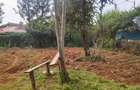 0.6 ac Residential Land at Kanyagia Drive - 3