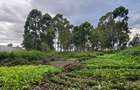 Land in Ongata Rongai - 7