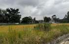 1 ac Residential Land in Karen - 4