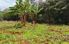 0.25 ac Residential Land at River Side Drive - 9