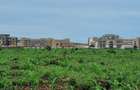 Land in Vipingo - 13